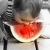 Healthy Eating Strategies to Teach Your Kids
